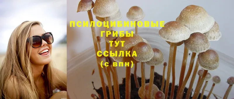 Псилоцибиновые грибы MAGIC MUSHROOMS  Краснокамск 