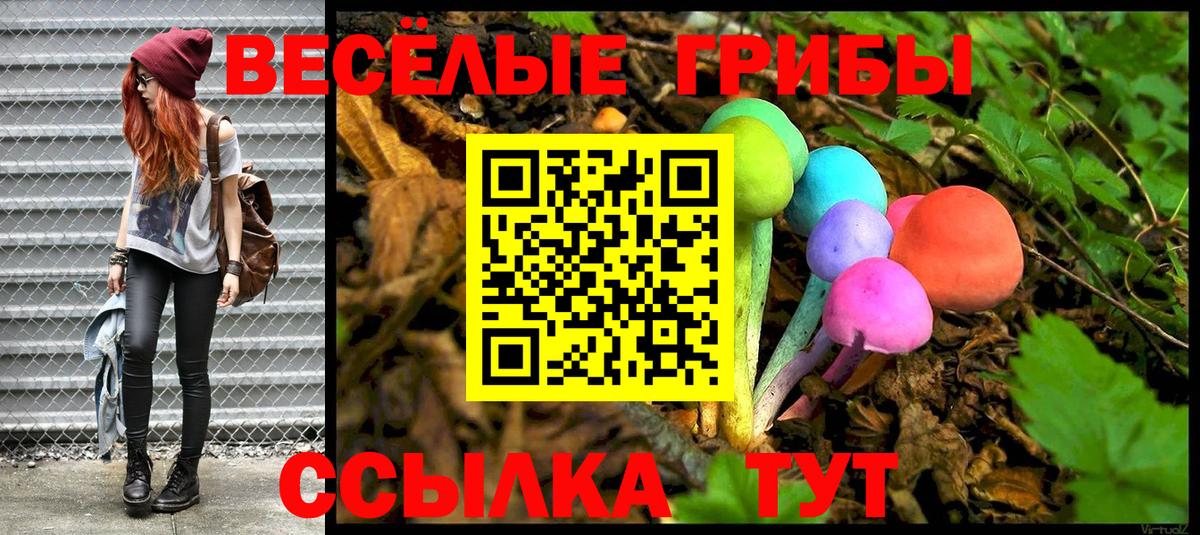 Галлюциногенные грибы Magic Shrooms Краснокамск
